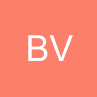 BAGY VICHEZ