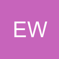 Ellie Walsh