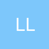 LASMA LETTINA