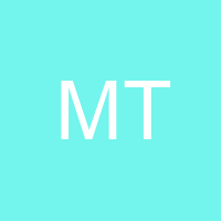 Mr T